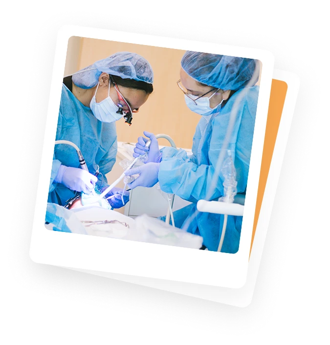 Dentists with patient